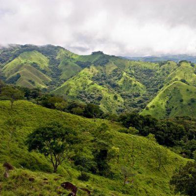 Cerro Chirripó